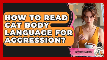 How To Read Cat Body Language For Aggression? - Happy Cat Handbook