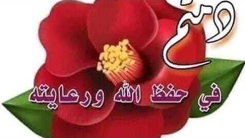 سوره القمر. صوت يريح القلب