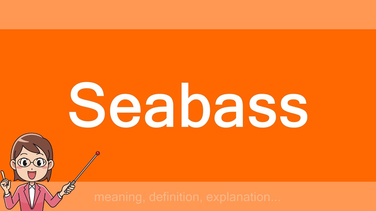 Seabass YouTube