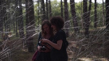 Analemma in Into The Great Wide Open