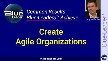 Create an Agile Organization │ Cultural-Change │ Jacques Fischer