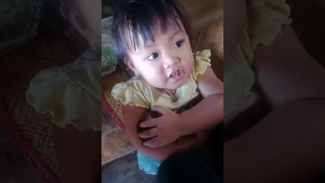 Cara merawat bayi monyet 