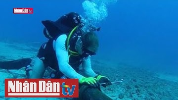 Một tuần nữa tuyến cáp biển AAG được sửa xong