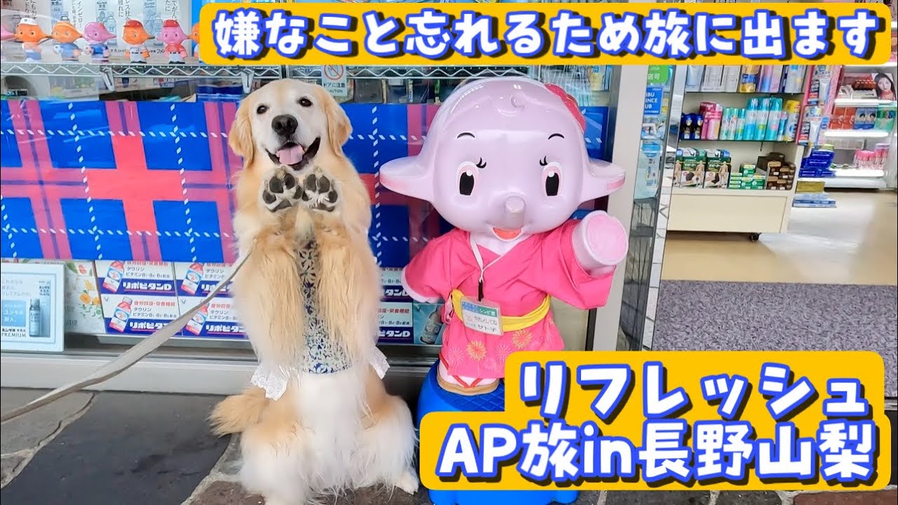 【AP旅1】嫌な事を一旦忘れて大雨の中リフレッシュしに旅に出ました