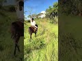 Riding a Horse in the National Park 🐎🌿 | Safe, Peaceful & Wild Experience!
