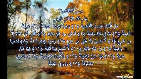 صلاة الجمعة بصوت الشيخ أبوبكر مومني - ما تيسرمن سورة الغاشية وعبس