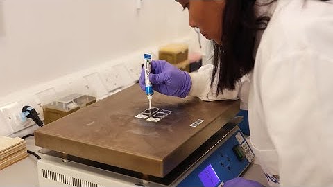 CytoCell solid tumour FFPE FISH protocol