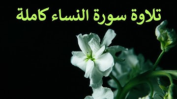 تلاوة سورة النساء كاملة للقارئ احمد الشبلي | surah An-Nisa