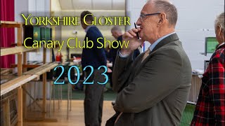 Champion Gloster Canary Club  Show 2023