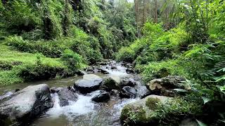 Soft river sound near quiet flowing riverbanks promoting calm brain waves for deeper deep sleep