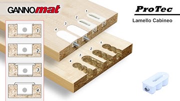 GANNOMAT ProTec: Lamello Cabineo