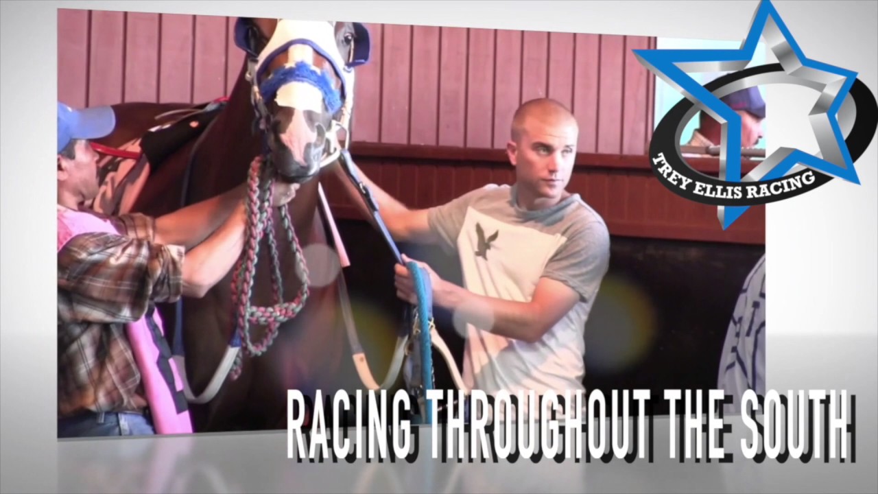 Stallionesearch Spotlight April 18Apr24 Ivory James YouTube