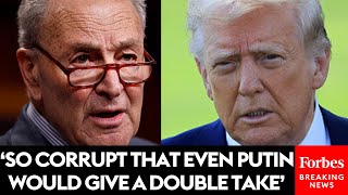 BREAKING NEWS: Chuck Schumer Announces Hold On DOJ Nominees Amid Trump's Qatari Plane Controversy
