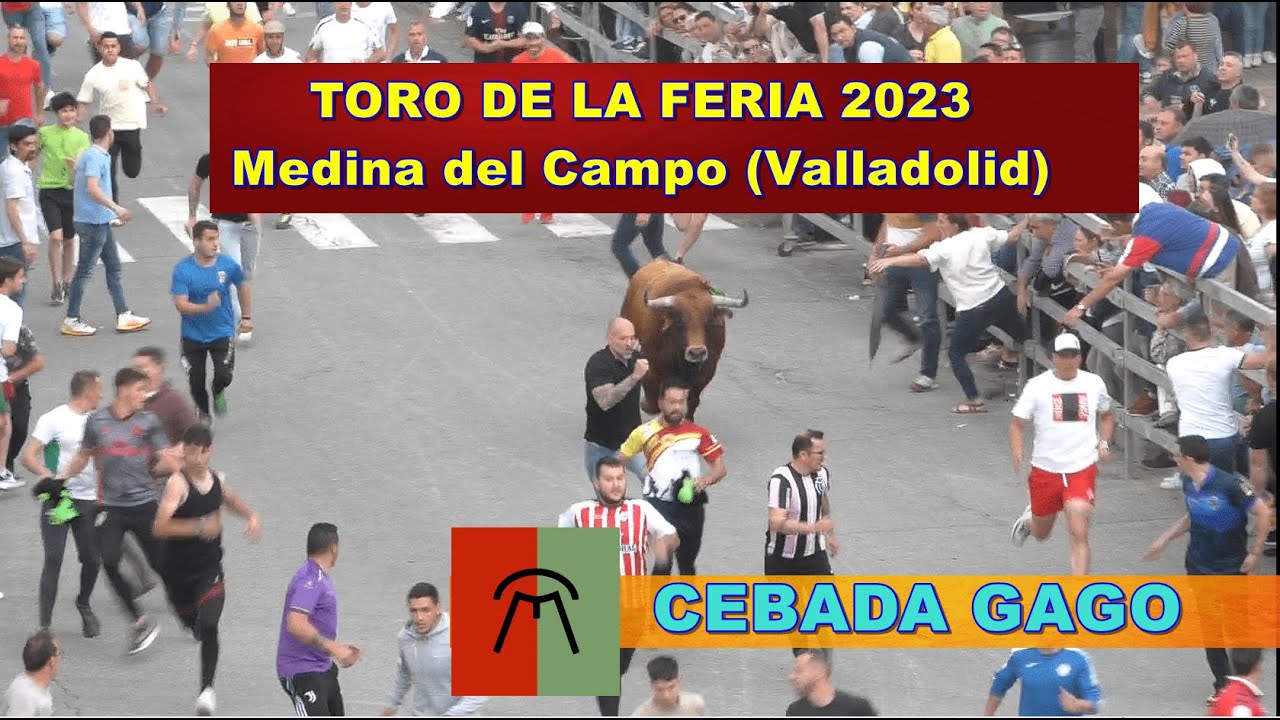 Medina del Campo (Va). "Toro de la Feria 2023". 3 de junio - YouTube