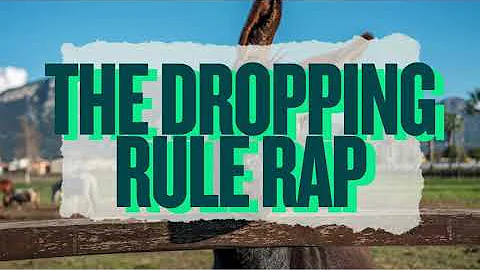Orton-Gillingham The Dropping Rule Rap Song