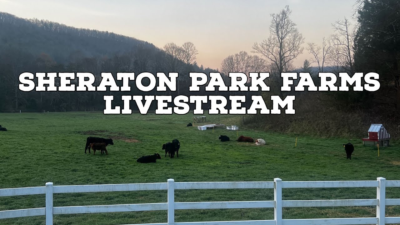 Sheraton Park Farms is going live!