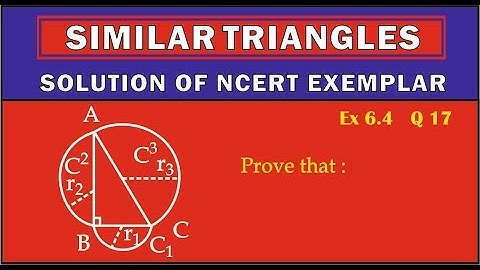 NCERT EXEMPLAR Similar Triangles Ex 6.4 Q 17