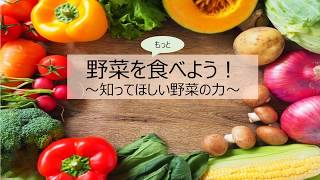 模擬授業（野菜をもっと食べよう～知って欲しい野菜の力～）