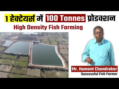 Mr. Hemant Chandrakar - High Density Fish Farming | Per hectare 100 Tonnes Production #PMMSYSchemes