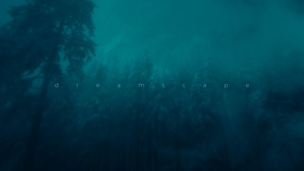 this voice in my head - you don't exist (super slowed)