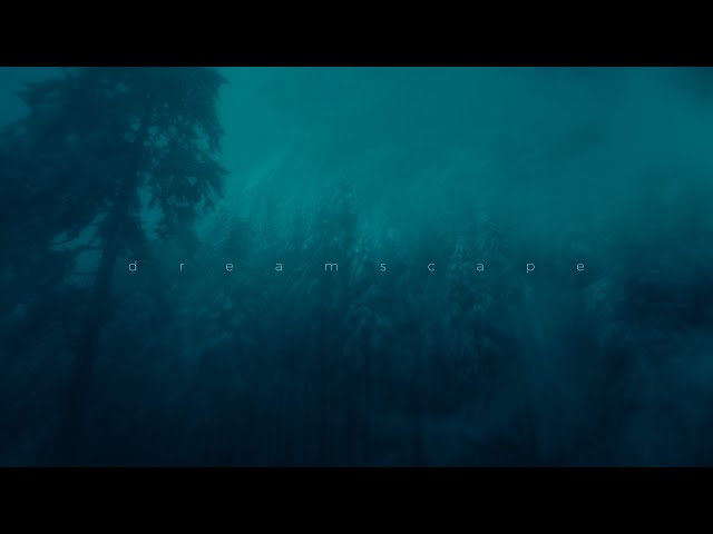 this voice in my head - you don't exist (super slowed)