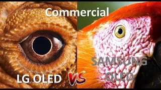Lg Oled Vs Samsung Qled, Which Commercial Is More Interesting?