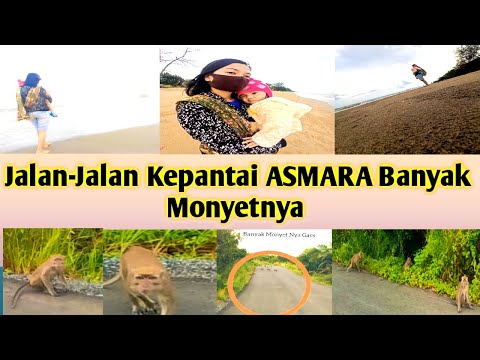 Video: Pantai Asam Nyata