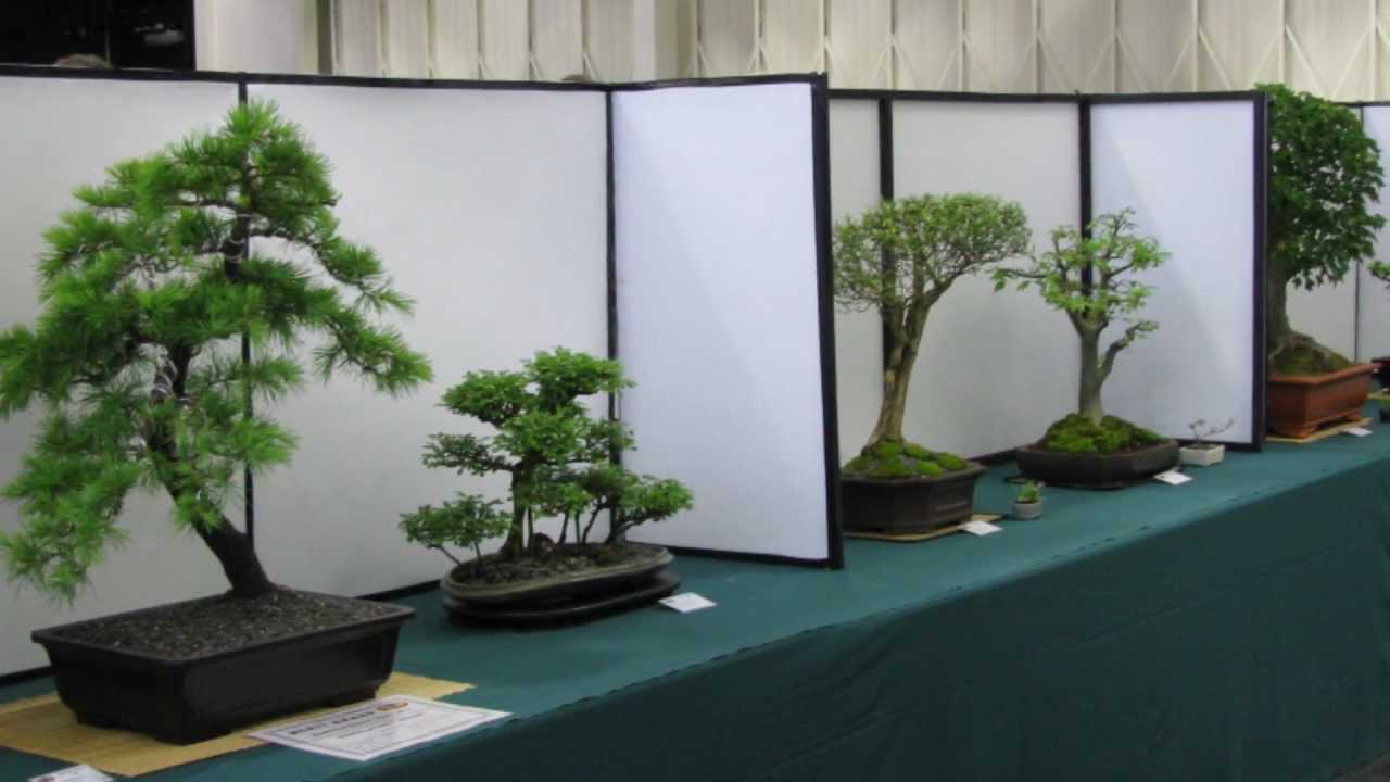 Hamilton Bonsai Club 2012 Show. YouTube