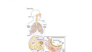 EPT Chapter 6 PP 2 Wealth