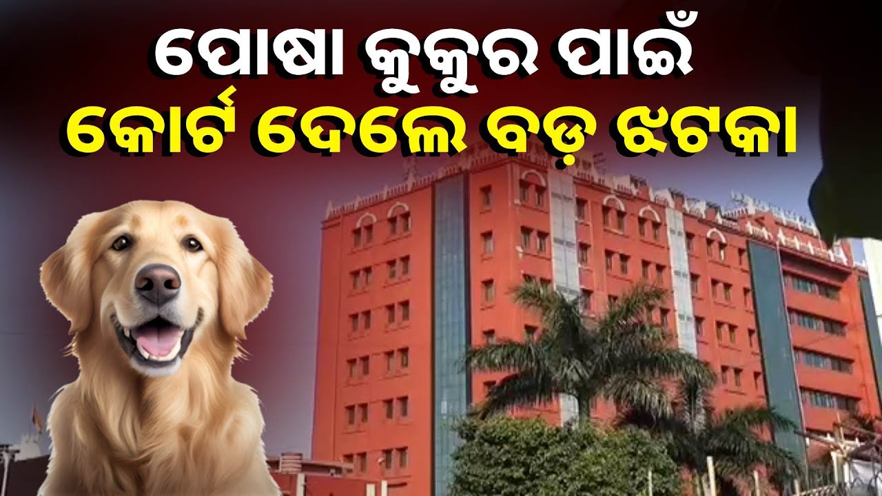 ପୋଷା କୁକୁର ହଜିବା ନେଇ ହାଇକୋର୍ଟ ଯାଇଥିଲେ ମାଲିକ, ହେଲେ ଅକଲ ଗୁଡୁମ୍ କରି ଦେଲେ କୋର୍ଟ