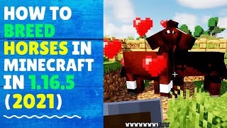 How to Breed Horses in Minecraft in 1.16.5 (2024) | Minecraft Horse Breeding