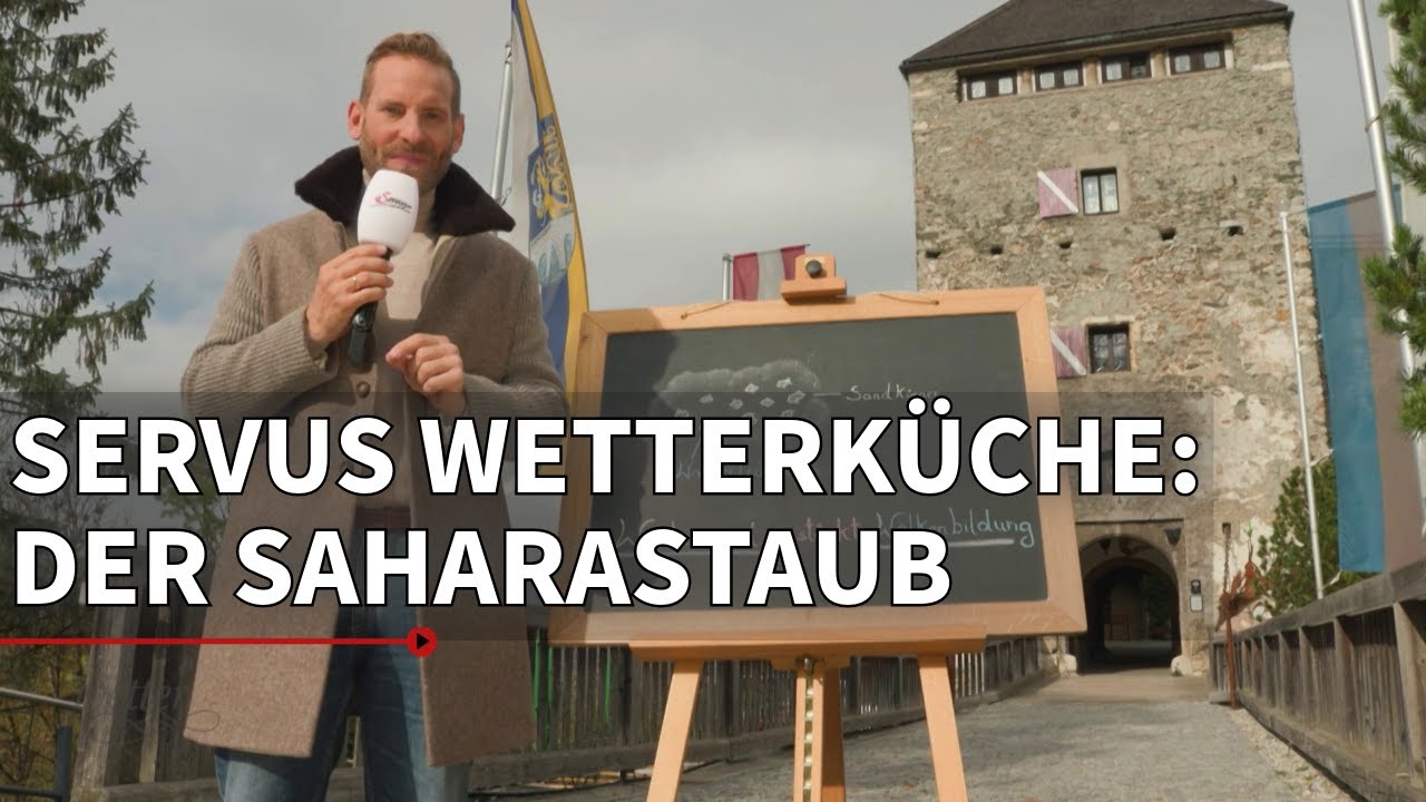 womit zitronenbaum düngen Bio-Zitronenbaum-Dünger kaufen main image 1