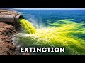 The Ocean Might Stop Breathing in 2026, Here's Why