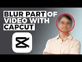 Hide Sensitive Info: Blur Tool in CapCut