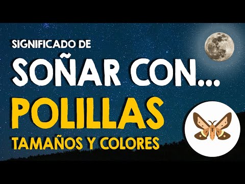 ¿Qué significa soñar con polillas? 🙏 Diferentes tamaños y colores 🙏