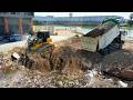 Process​ Land filling, Skills​ Driver​ Bulldozer SHANTUI DH17C3, Dump truck unloading