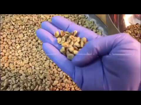 تحميص القهوة العربية - YouTube