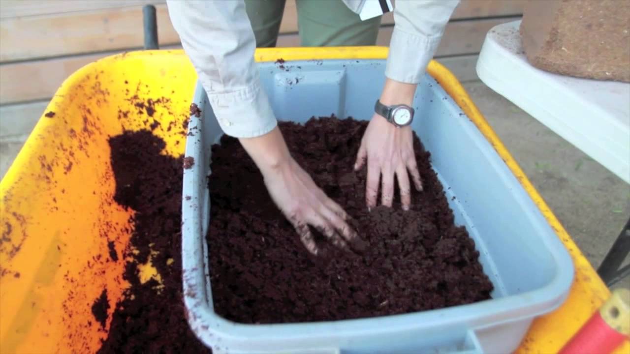 vermiculture project literature review