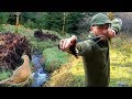 Catapult hunting pheasant  catch and cook  bushcraft