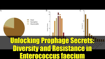 Unlocking Prophage Secrets: Diversity and Resistance in Enterococcus faecium