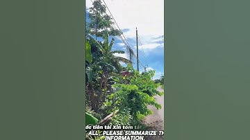 Con Dại Cái Mang ! Chú Tám Sang Cần Bán Đất Vườn Trái Cây Ở Bà Rịa Vũng Tàu Để Trả Nợ#shorts