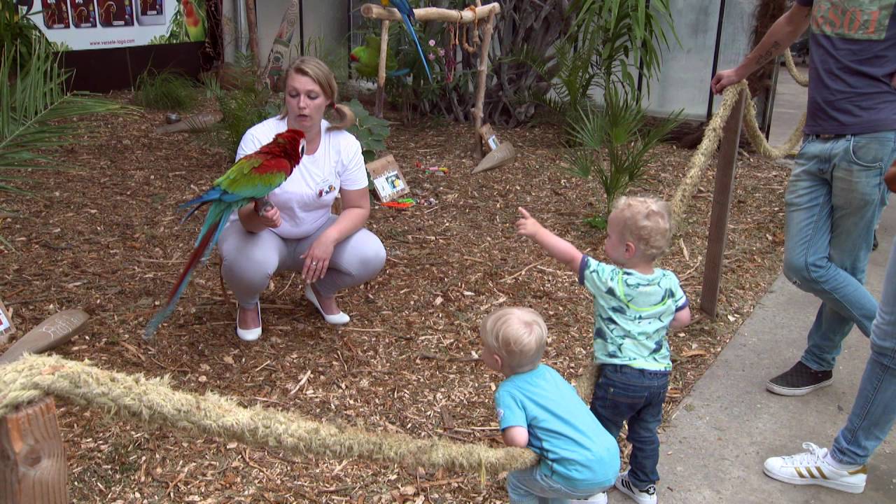 Reportage van West@Work uitgezonden 3/10/2016