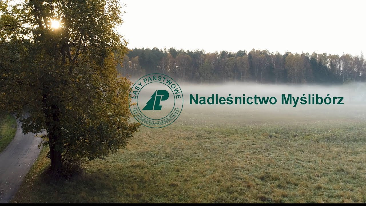 Nadleśnictwo Myślibórz
