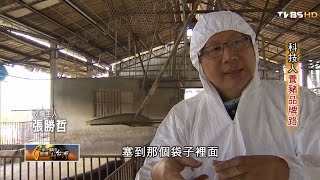 科技人養豬品牌路 TVBS一步一腳印 20160410 (1/3)