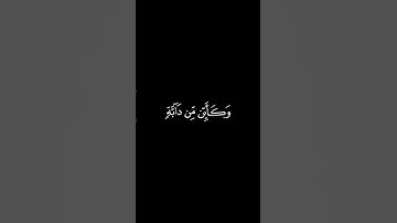 الذين صبروا وعلى ربهم يتوكلون | سورة العنكبوت | القارئ عبدالرحمن مسعد | #كرومات_قران_كريم