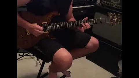 Joe Mehl - PRS Experience Guitar