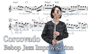 ジャズ・ピアノ　アドリブ完全コピー　パフォーマンス Vol.1 & Vol.2 アドリブ完全コピー! ジャズ・ピアノ・パフォーマンス Vol.1