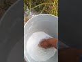 هذه احدى طرقي المجربة والسهلة للتخلص من املاح التربة هذه احدى طرقي المجربة والسهلة للتخلص من املاح التربة