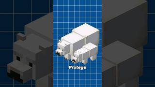 O Urso Polar Não Gosta De Regras...