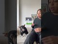 Can This Dog Complete His Epic Rescue?